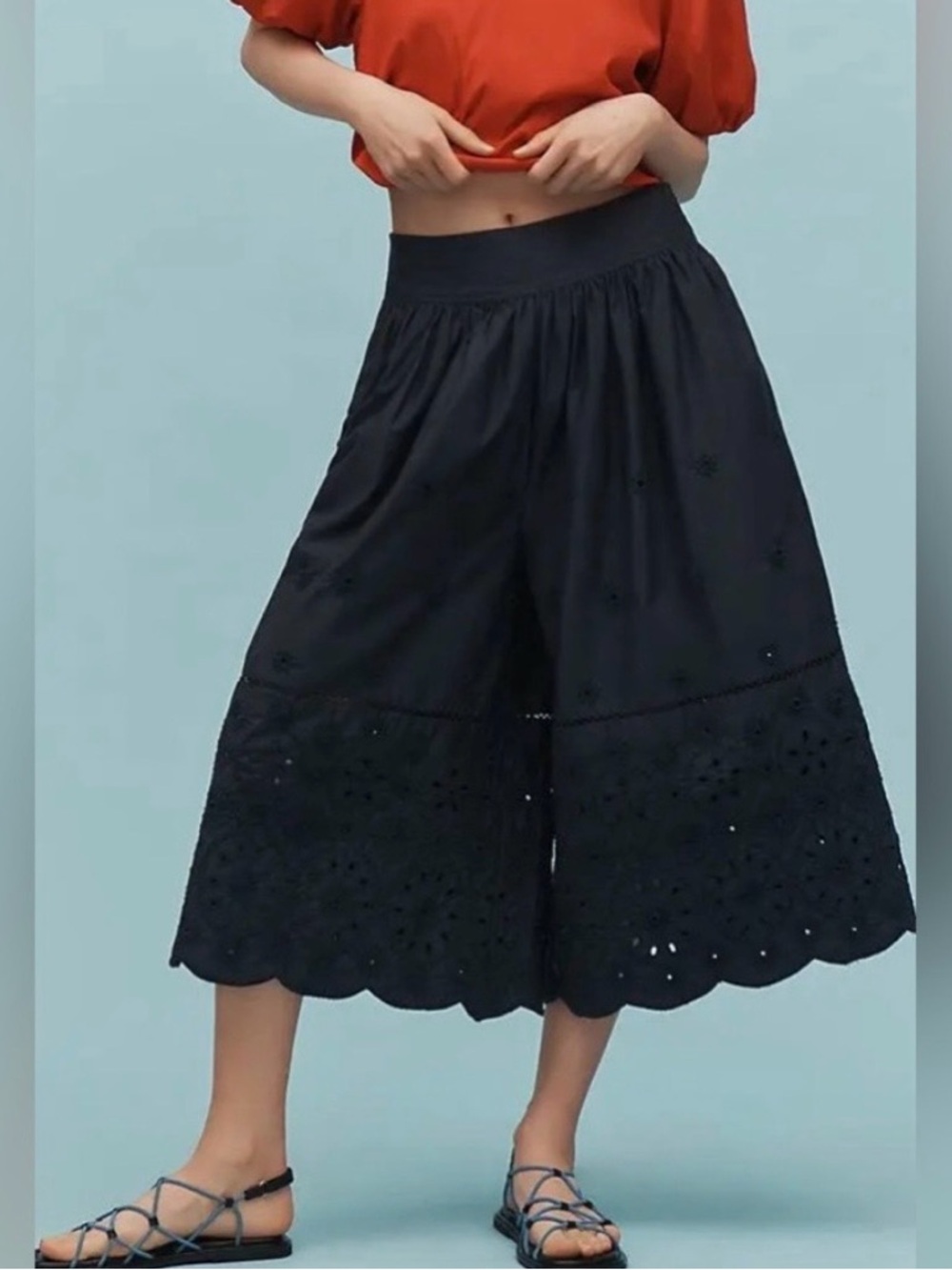 EUC! Maeve Embroidered Skirty Culottes